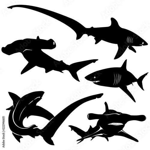Silhouettes of different sharks