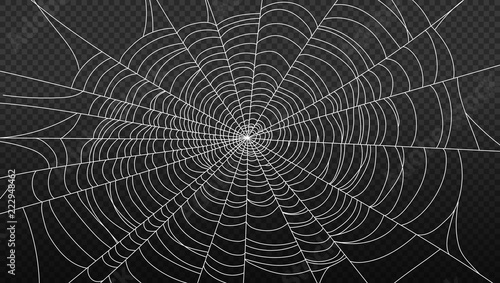 spider web isolated on transparent background vector illustration