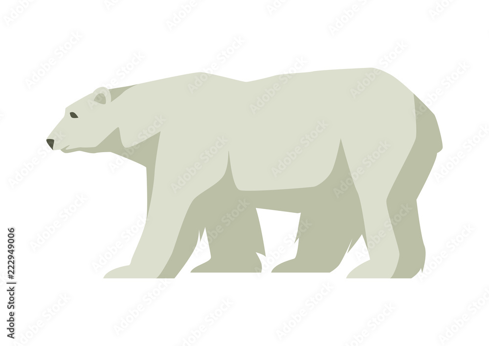 Polar white bear. Illustration of a northern animal