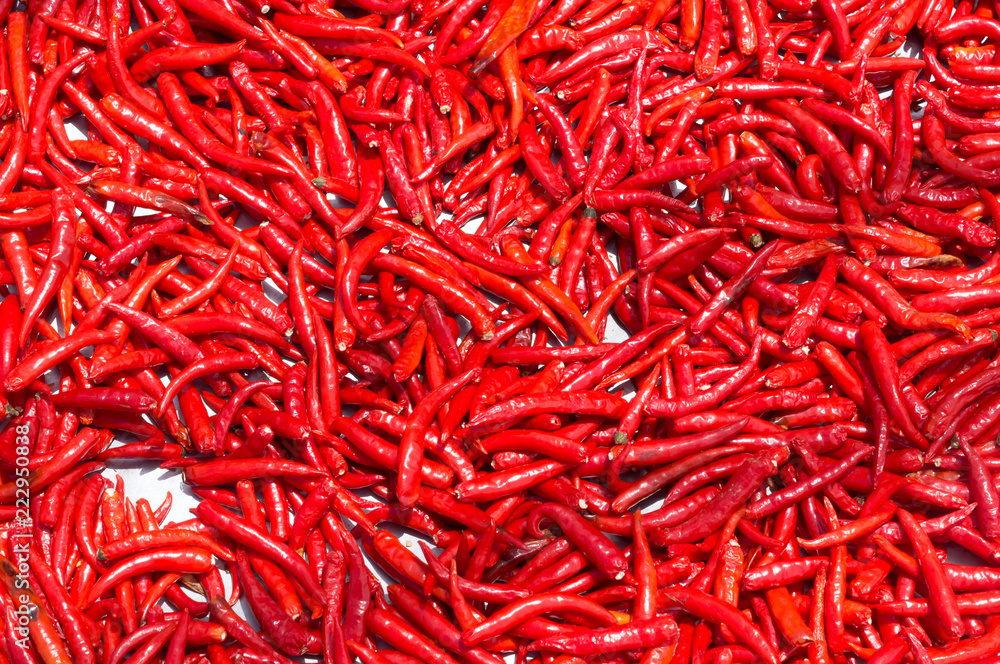 Red chilli exposed to sunlight to get dried