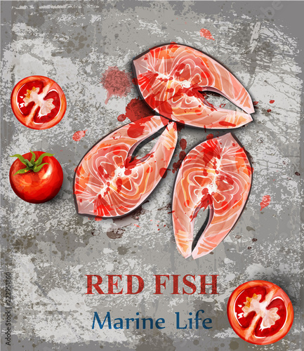 Salmon fish steaks watercolor Vector. Fish steaks on vintage backgrounds. Men...