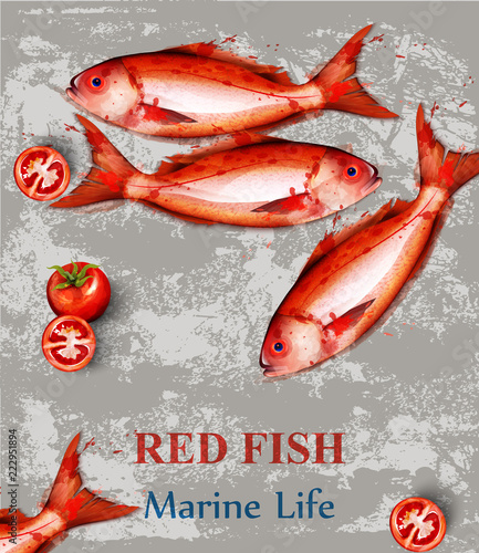 Red fish watercolor Vector. Fresh small fishes on vintage backgrounds. Menu templates