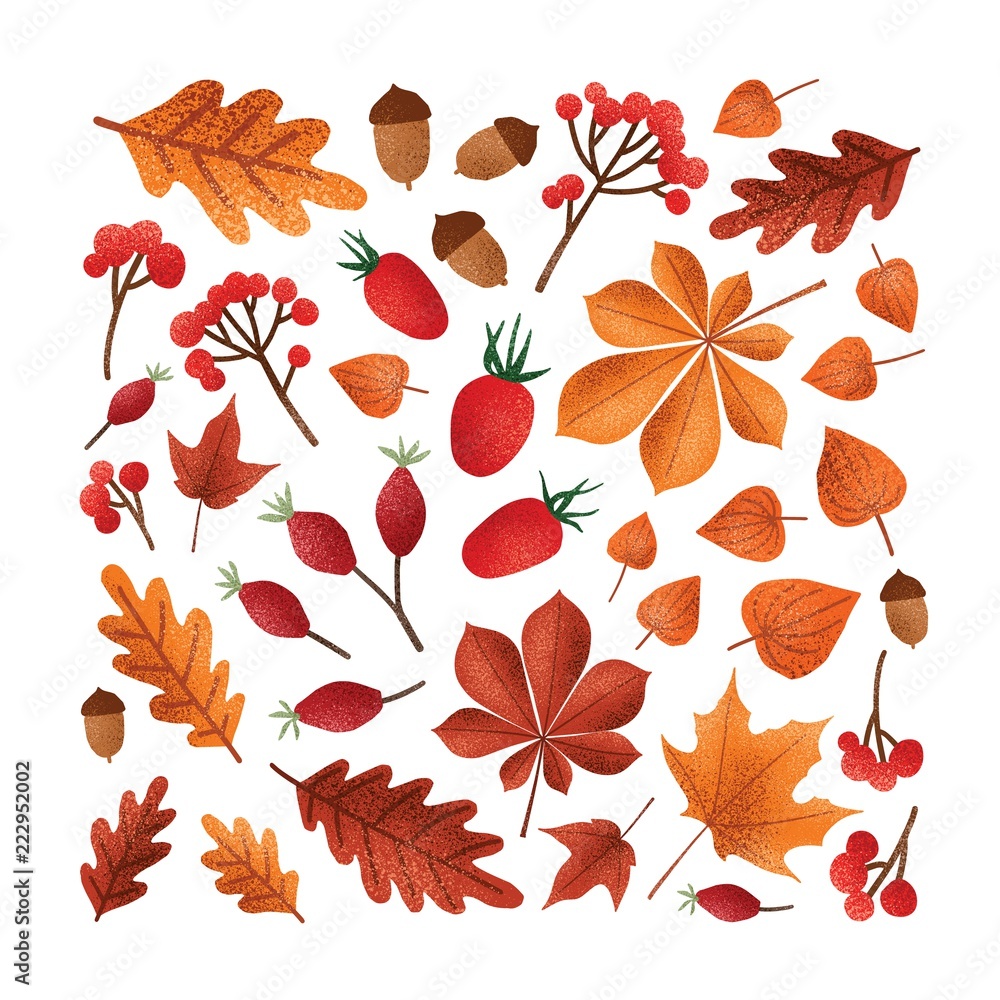 Fototapeta premium Square backdrop with textured fallen tree autumn leaves or dried foliage, acorns, nuts, berries on white background. Elegant seasonal decoration. Colorful vector illustration in modern trendy style.