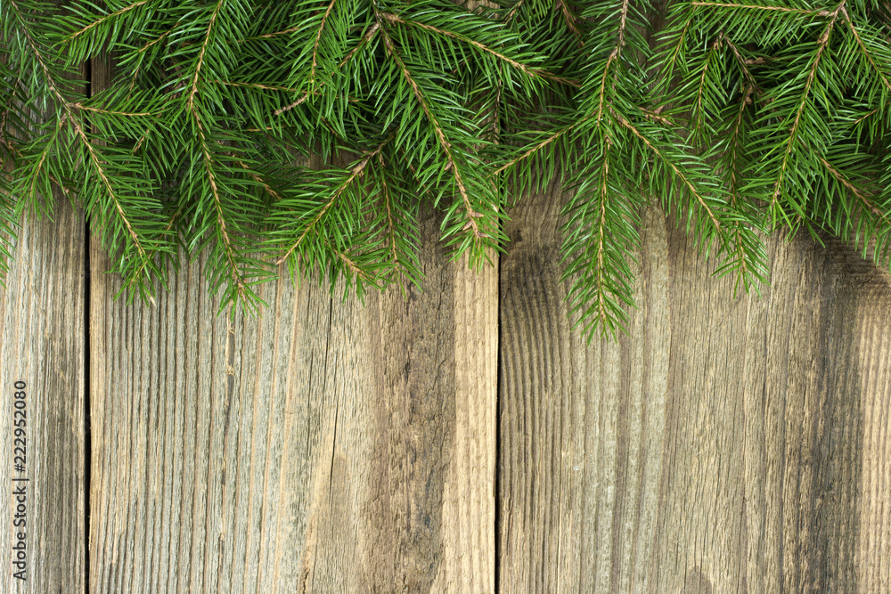 Branch of spruce on wooden planks. Christmas background. Branch of spruce on wooden planks. Christmas background.