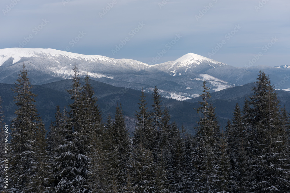 Winter landscape with mountain tops in the snow