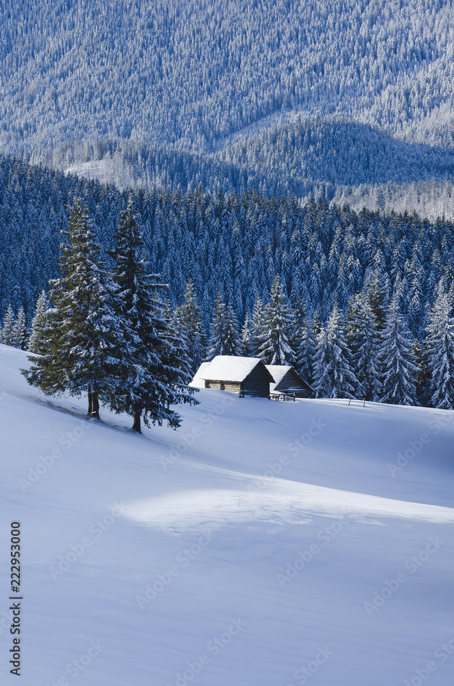 Winter mountain scenery pictures with wooden huts