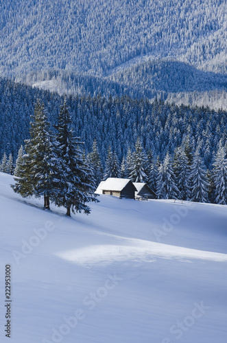 Winter mountain scenery pictures with wooden huts © Oleksandr Kotenko