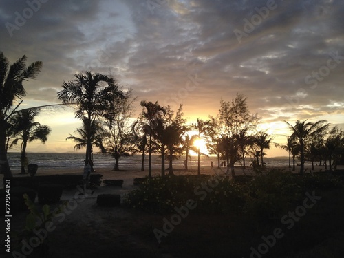 sunset, tree, sky, palm, silhouette, landscape, beach, travel, otres, sihanoukville, cambodia
