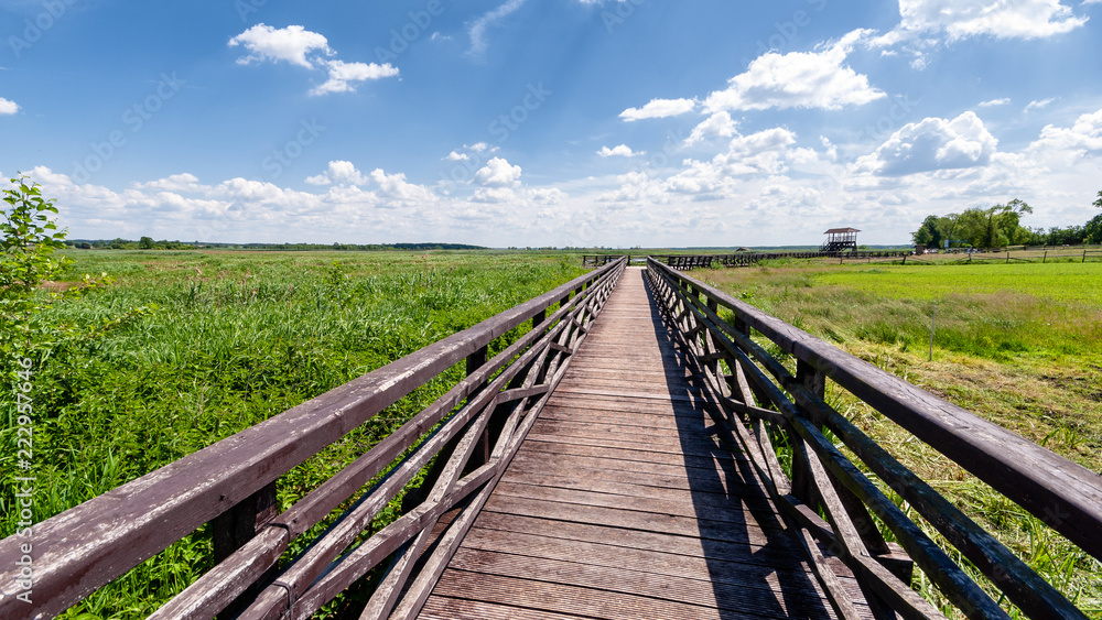 Narwiański Park Narodowy