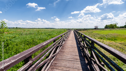 Obraz na płótnie Narwiański Park Narodowy w salonie