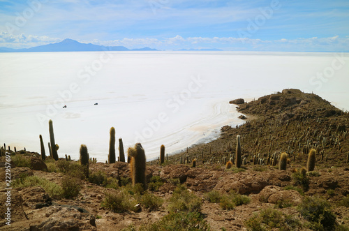 Pure white Salar de Uyuni, the world's largest salt flats view from Isla Incahuasi, the Cactus field Island in the middle of salt flats, Bolivia, South America  photo