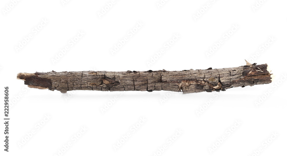 Dry and rotten branch isolated on white background Dry and rotten branch isolated on white background