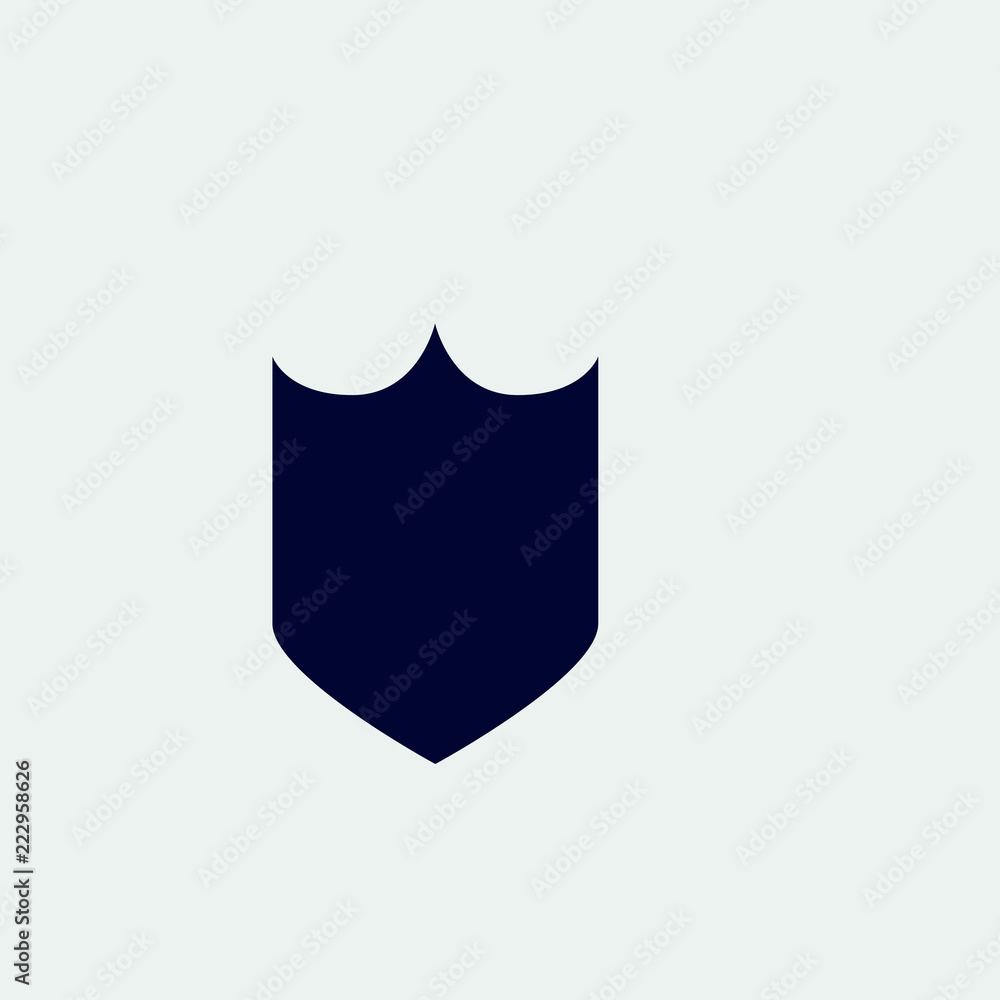protection shield icon, vector illustration. flat icon