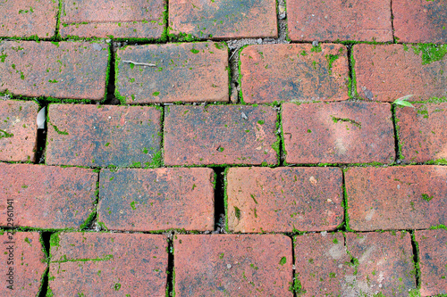 Old red brick floor texture with moss in garden