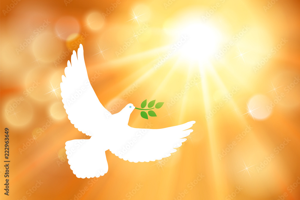 White dove carrying leaf branch and international day of peace. World