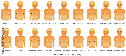 Form of a female bust