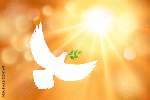 White dove carrying leaf branch and international day of peace. World Water Day. Vector image, sun, sun rays and golden blurred defocused background with bokeh gold ligth.