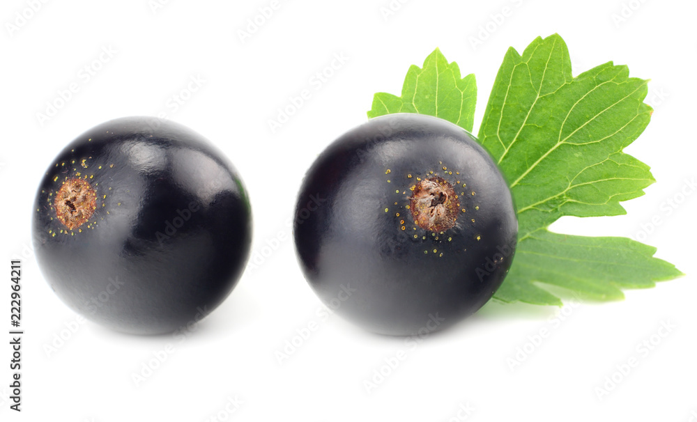 black currant with green leaf isolated on white background. macro black currant with green leaf isolated on white background. macro