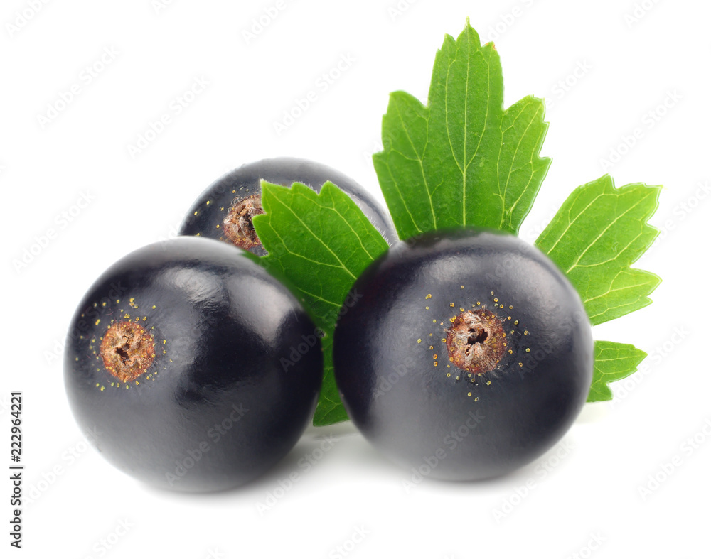 black currant with green leaf isolated on white background. macro black currant with green leaf isolated on white background. macro