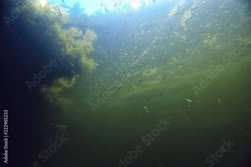 underwater texture of water in a lake / underwater photo freshwater ecosystem, water texture background