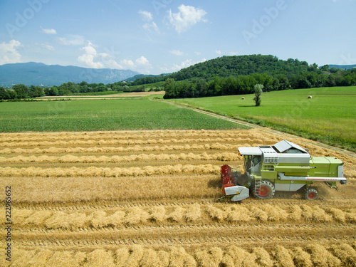 Wheat harvest - aerial photography of combine harvesting grain - agriculture