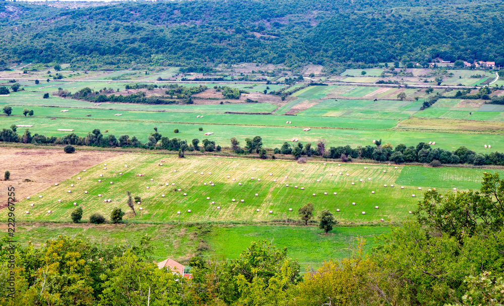 Fototapeta premium Viele Siloballen auf einem Feld