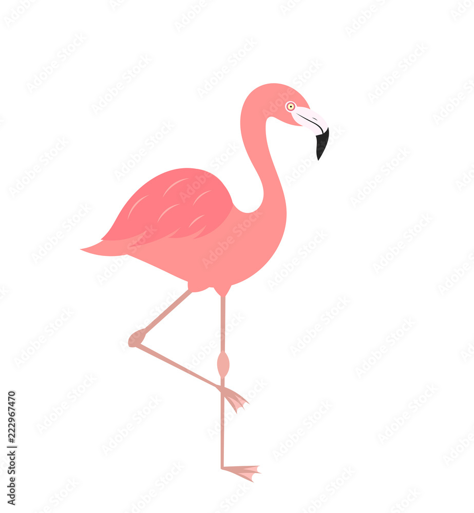 Flamingo bird isolated on white icon