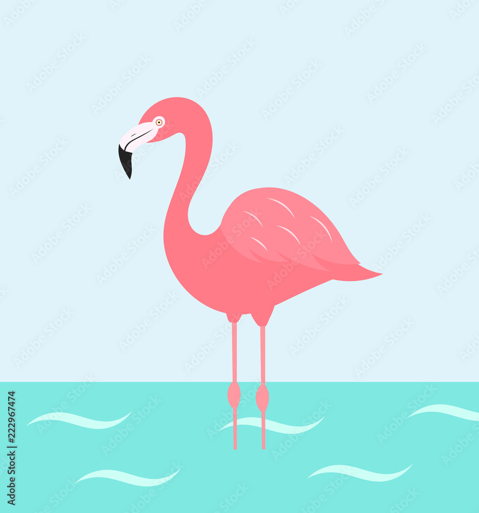 Obraz premium Flamingo bird wading