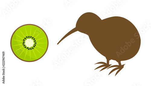 Kiwi fruit and kiwi bird icons