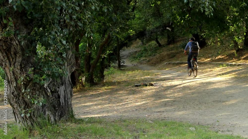 On a sandy path the bicyclist moves towards the grove, slowly leaving afar. On a sandy path the bicyclist moves towards the grove, slowly leaving afar.