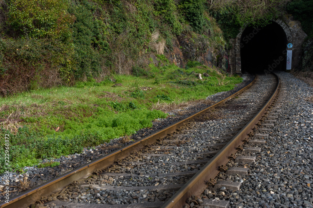 Fototapeta premium Via del tren en Betanzos