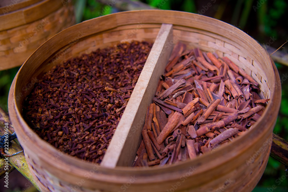 Kopi Luwak is the most expensive coffee in the world, also called as