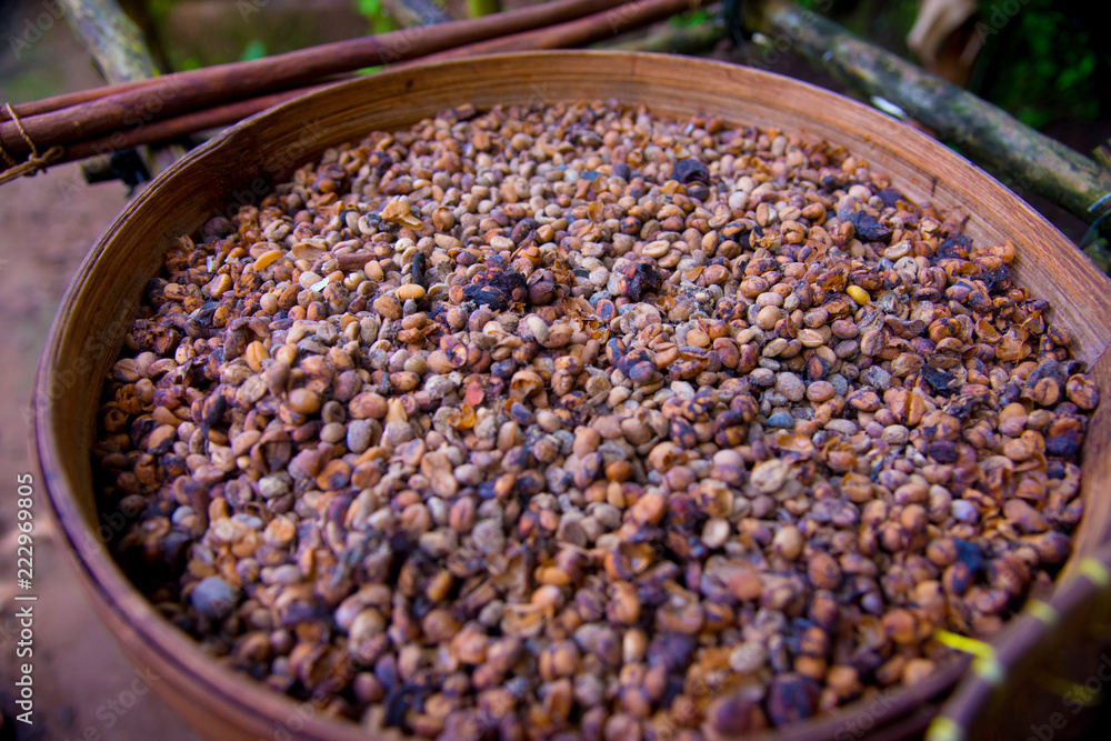 Kopi Luwak is the most expensive coffee in the world, also called as