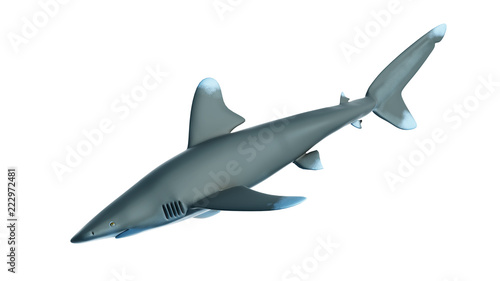 3d rendered illustration of a whitetip shark