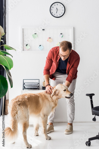 man stroking golden retriever dog in modern office