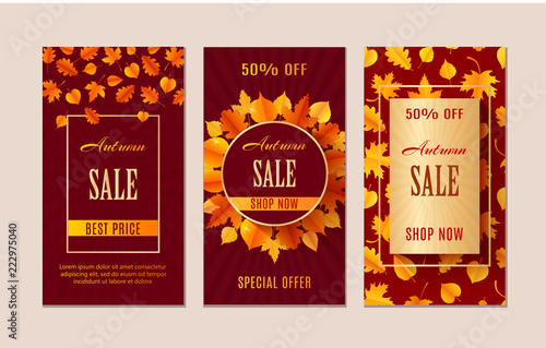Autumn sale banners. Season leaf card design.