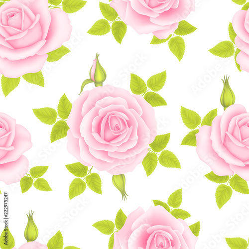 Seamless pattern with roses