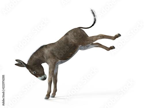 Photo 3d rendered illustration of a donkey