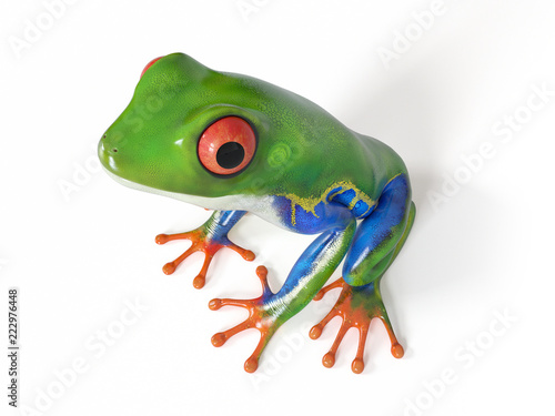 3d rendered illustration of a tropical frog