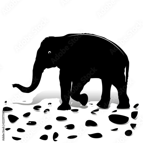 Silhouette of black elephant walking on stones, for design on white background,