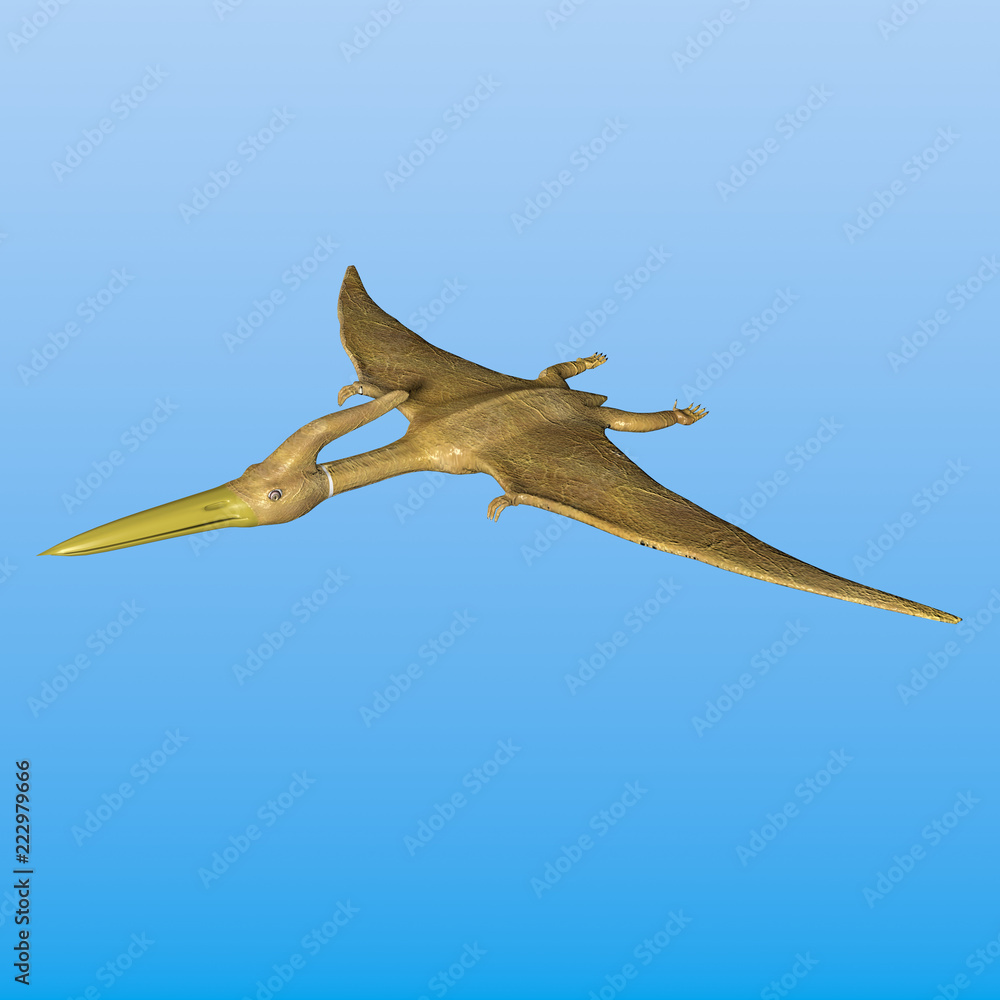 Flugsaurier Pteranodon kn der Luft Stock Illustration | Adobe Stock