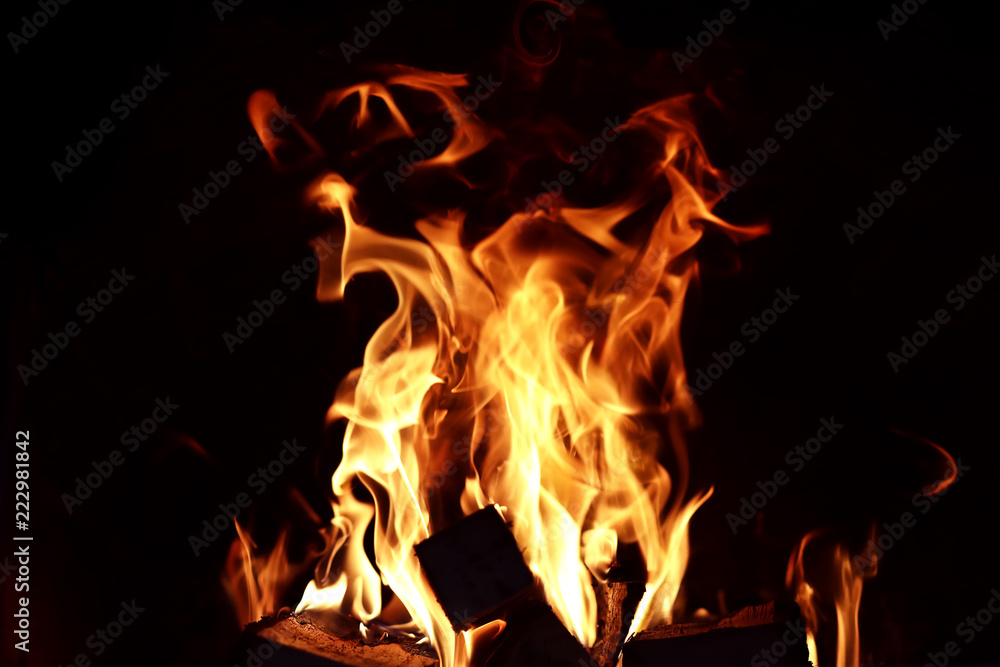 Long tongues of flame of burning fire Long tongues of flame of burning fire