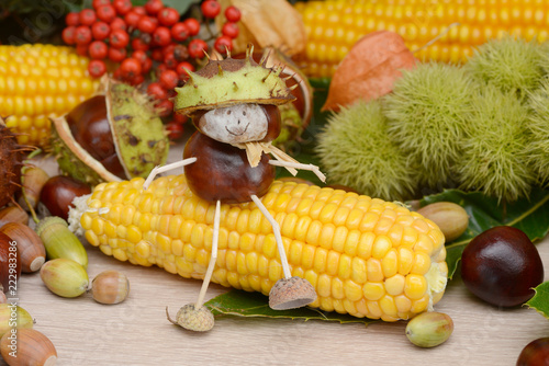 chestnuts  figure sitting on maize between autumn fruits