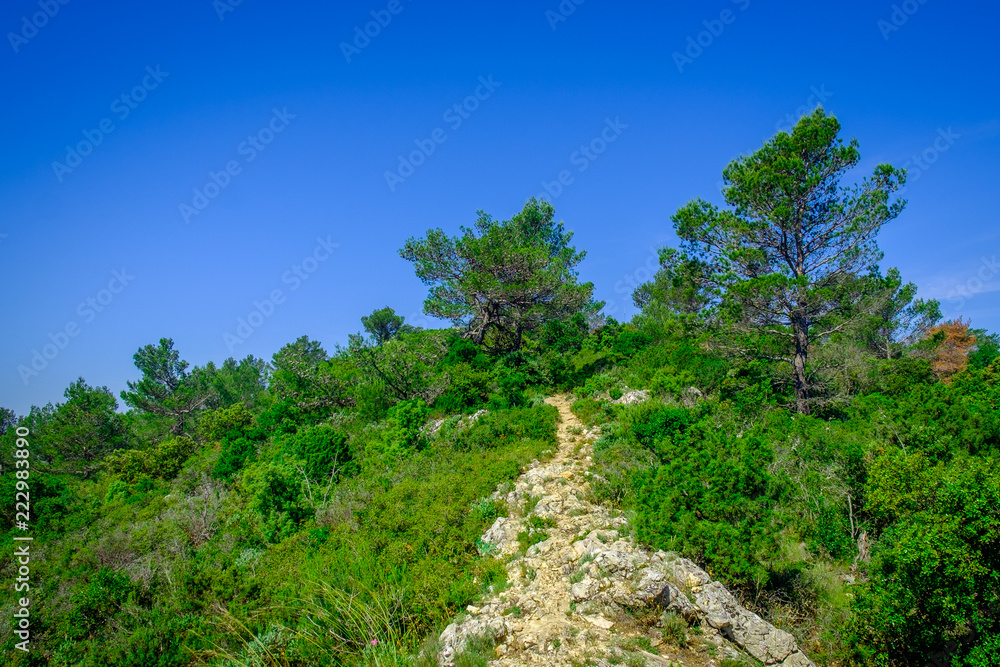 Provence, France, June 2018, path on the Regagnas mountain