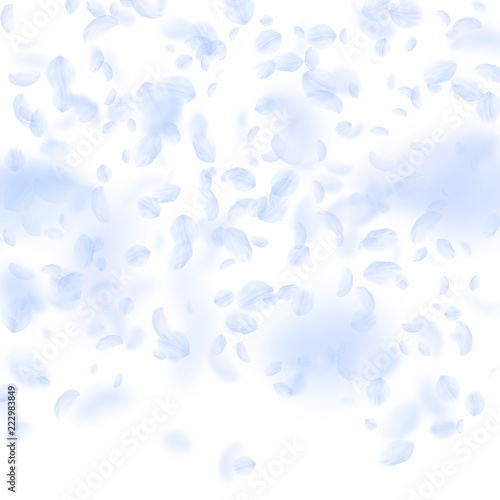 Light blue flower petals falling down. Mesmeric romantic flowers gradient. Flying petal on white squ