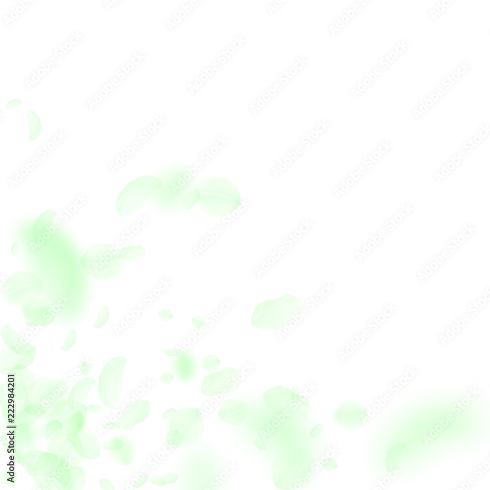 Green flower petals falling down. Stunning romantic flowers corner. Flying petal on white square bac Green flower petals falling down. Stunning romantic flowers corner. Flying petal on white square bac