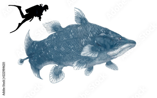 学名 小種名 マウソニア ラボカティ 中生代から白亜紀後期まで生息していたシーラカンスの中で最大の種類 このシーラカンス は体長が約4メートル近くあり 現代種のラティメリアの約2倍の大きさである イラストは現代種の色彩を参考にし オリジナルのゲージとして