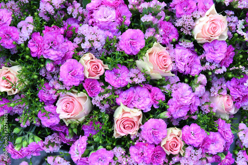 Blumen, Hintergrund, Wand, pink, rosa