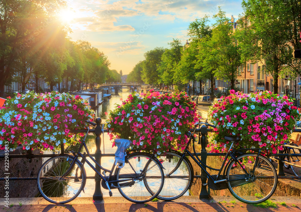 Naklejka premium Piękny letni wschód słońca nad słynnymi kanałami światowego dziedzictwa UNESCO w Amsterdamie w Holandii, z żywymi kwiatami i rowerami na moście