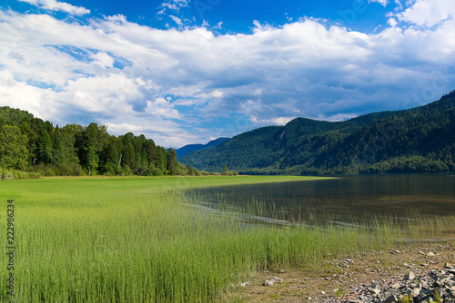 The shore of Teletskoye Lake, a view from the coast